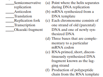 Match the following terms with their respective descriptions:
