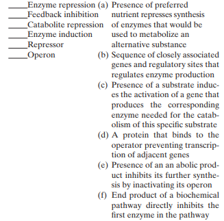 Match the following metabolic regulation terms with their descriptions: