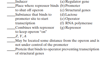 For the lac operon, match the following: