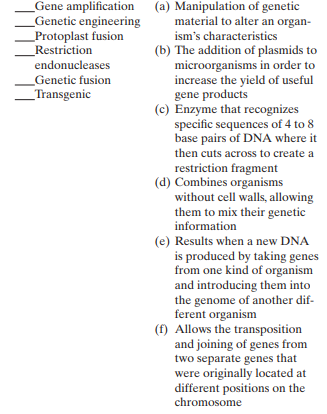 Match the following genetic engineering terms to their descriptions:
