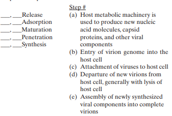 Match the following general replication steps to their description and place them in order: