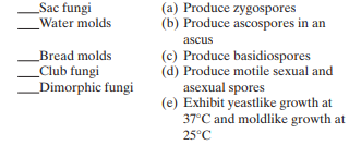 Match the following microorganisms and their descriptions: