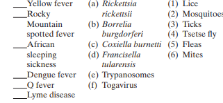 Match the following diseases transmitted by arthropods to their causative agent and principal vector:   