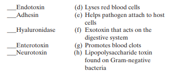 Match each the following terms to the most appropriate de scription: