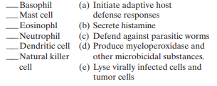 Match the white blood cell type with one of its key functions:    