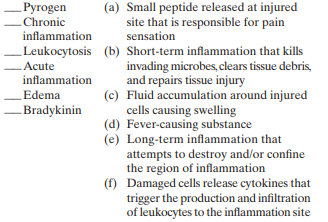 Match the following terms of inflammation to their descriptions:   