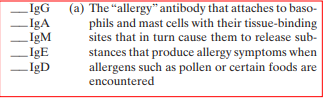 There are five classes of antibodies or immunoglobulins. Match the following antibody classes to their descriptions:     