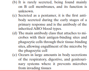 There are five classes of antibodies or immunoglobulins. Match the following antibody classes to their descriptions: