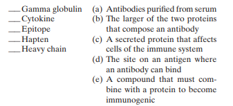 Match the following terms to the most appropriate description: