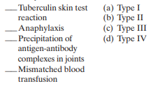 Match each of the immune system reactions to a type of hy persensitivity:   