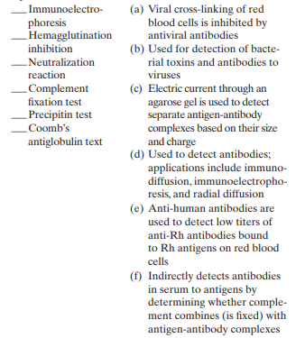 Match the following immunological tests to their descriptions: