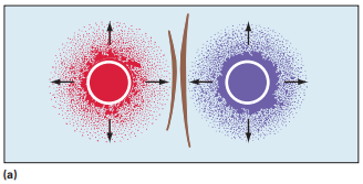 Diagram represents an immunodiffusion test in which only one antigen-antibody complex is present; in dia gram , two different antigen-antibody complexes are present.     
