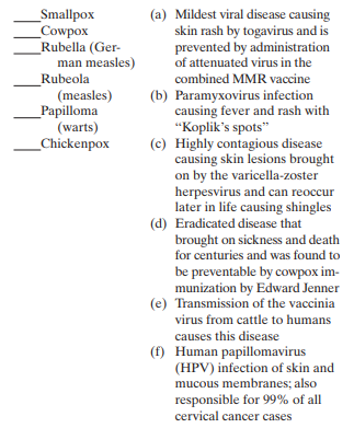 Match the following viral skin diseases with their descriptions:   