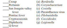 Match the following diseases to the most likely causative agent:   