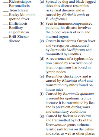 Match the following rickettsial and rickettsial-related sys temic diseases to their descriptions:  <div style=padding-top: 35px> 