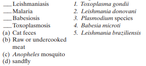 Match the following protozoan systemic diseases with their mode of transmission and causative agent:  <div style=padding-top: 35px> 