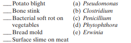 Match the following conditions to the most likely microbial cause: