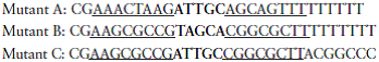You are carrying out experiments to study transcription termination in an E coli gene. You sequence the 3-end of the gene and get the following results:    You then create mutant genes with this sequence changed to the following (top, or nontemplate strand, 53):    You put each of the mutant genes into an assay that measures termination and get the following results:    a. Draw the structure of the RNA molecule that results from transcription of the wild-type sequence above. b. Explain these experimental results as completely as possible.