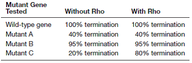 You are carrying out experiments to study transcription termination in an E coli gene. You sequence the 3-end of the gene and get the following results:    You then create mutant genes with this sequence changed to the following (top, or nontemplate strand, 53):    You put each of the mutant genes into an assay that measures termination and get the following results:    a. Draw the structure of the RNA molecule that results from transcription of the wild-type sequence above. b. Explain these experimental results as completely as possible.