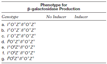 The table below gives the genotypes (with respect to the lac operon) of several partial diploid E. coli strains. Fill in the phenotypes, using a 1 for b-galactosidase synthesis and 2 for no b-galactosidase synthesis. Glucose is absent in all cases. Give a brief explanation of your reasoning.