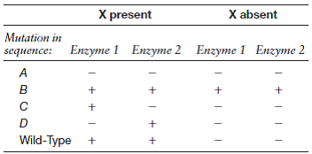 The aim operon includes sequences A, B, C, and D. Mutations in these sequences have the following effects, where a plus sign (+) indicates that a functional enzyme is produced and a minus sign () indicates that a functional enzyme is not produced. X is a metabolite.    a. Do the structural gene products from the aim operon participate in an anabolic or catabolic process b. Is the repressor protein associated with the aim operon produced in an initially active or inactive form c. What does sequence D encode d. What does sequence B encode e. What is sequence A