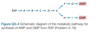 Which statements are true? explain why or why not. -Synthesis of the purine nucleotides AMP and GMP proceeds by a branched pathway starting with ribose 5-phosphate (R5P), as shown schematically in Figure Q3-4. Using the principles of feedback inhibition, propose a regulatory strategy for this pathway that ensures an ade- quate supply of both AMP and GMP and minimizes the buildup of the intermediates (A-I) when supplies of AMP and GMP are adequate.  