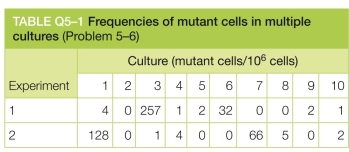 DNA repair mechanisms all depend on the exis- tence of two copies of the genetic information, one in each of the two homologous chromosomes. Discuss the following problems. E. coli bac- terium, allow the cultures to grow until each contains 106 cells, and then measure the number of cells in each culture that carry a mutation in your gene of interest. You were so surprised by the initial results that you repeated the experi- ment to confirm them. Both sets of results display the same extreme variability, as shown in Table Q5-1. Assuming that the rate of mutation is constant, why do you suppose there is so much variation in the frequencies of mutant cells in different cultures?  