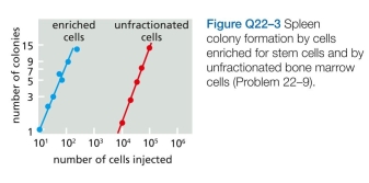 Which statements are true? explain why or why not. 0 Generation of induced pluripotent stem (iPS) cells was first accomplished using retroviral vectors to carry the OSKM   set of tran- scription regulators into cells. The efficiency of fibroblast reprogramming was typically low (0.01%), in part because large numbers of retroviruses must integrate to bring about reprogramming and each integration event carries with it the risk of inappropriately disrupting or activating a critical gene. In what other ways, or other forms, do you suppose you might deliver the OSKM transcription regula- tors so as to avoid these problems?  <div style=padding-top: 35px> 