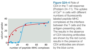 Which statements are true? Explain why or why not. -1 CD4 proteins on helper and regulatory T cells serve as co-receptors that bind to invariant parts of class II MHC proteins. CD4 is thought to increase the adhesion between T cells and antigen-presenting cells (APCs) that are initially connected only weakly by the T cell receptor bound to its specific peptide-MHC complex. To test this possibility, you label cell-surface MHC molecules with a fluorescently labeled peptide so that you can detect indi- vidual peptide-MHC complexes at the interface between the APCs and the T cells in a culture dish. To detect T cell responses-the sign of a productive contact-you load them with a Ca²+ indicator dye, as cytosolic Ca²+ increases when lymphocytes are active. You now count the peptide- MHC complexes at a large number of interfaces (immuno- logical synapses) and measure the resulting uptake of Ca²+ in the adherent T cells (Figure Q24-4, red circles). When you repeat the experiment in the presence of blocking anti- bodies against CD4, you get a different result (blue circles). Do these results support or refute the notion that CD4 aug- ments T cell receptor binding? Explain your answer.   CHAPTER:Glossary CHAPTER:Index