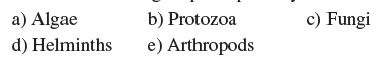 Members of this group are photosynthetic.