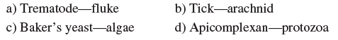 Which of the following is mismatched?  