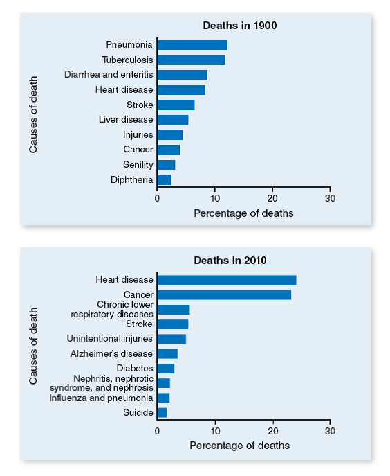 As shown in the graphs below, the proportion of deaths due to cancer and heart disease in the United States today is much higher than it was in 1900. Explain the factors that most likely contribute to this difference.  <div style=padding-top: 35px> 