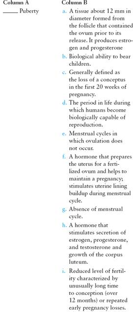Match the term listed in Column A with its definition from Column B   