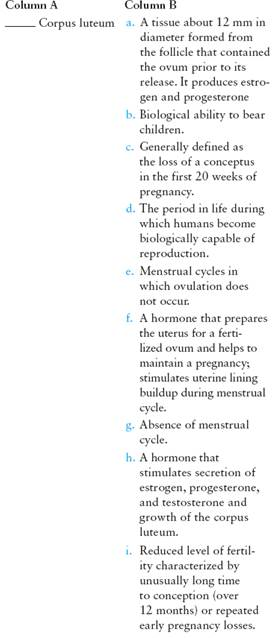 Match the term listed in Column A with its definition from Column B   