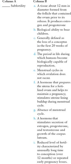 Match the term listed in Column A with its definition from Column B   
