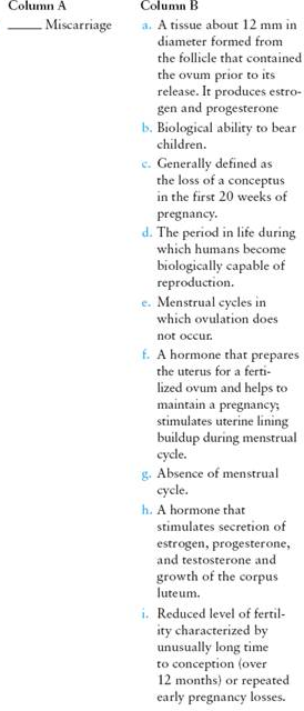 Match the term listed in Column A with its definition from Column B   