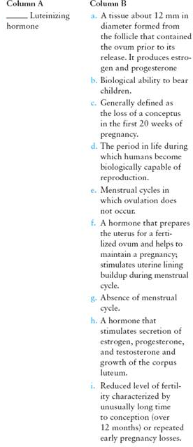 Match the term listed in Column A with its definition from Column B   