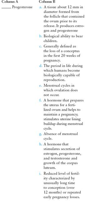 Match the term listed in Column A with its definition from Column B   