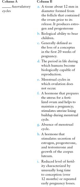 Match the term listed in Column A with its definition from Column B   