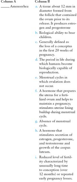 Match the term listed in Column A with its definition from Column B