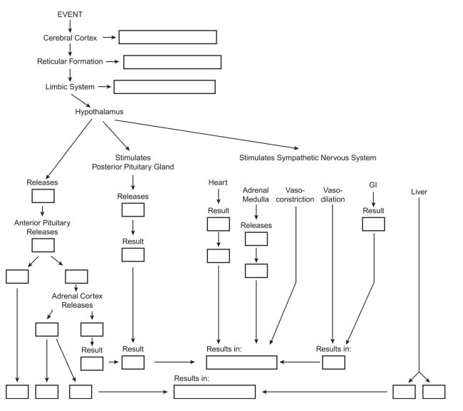 Using the word and phrase list below, fill in the boxes below with the numbers of the words or phrases that illustrate the physiologic response to stress.   Word and Phrase List  