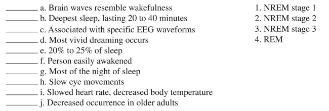Match the descriptions to the stages of sleep. Some descriptions may have more than one stage and some stages may be used more than once -