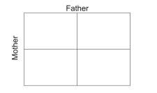 When a father has Huntington's disease with a heterozygous genotype, the nurse uses the Punnett square to illustrate the inheritance patterns and the probability of transmission of the autosomal dominant disease.The mother does not carry the Huntington's disease gene.Complete the Punnett square below to illustrate this inheritance pattern, using H as the normal gene and h as the gene for Huntington's disease.    There is a _______ % chance that offspring will be unaffected. There is a _______ % chance that offspring will be affected.