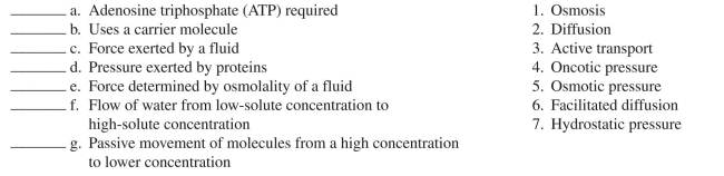 Match the following descriptions with the mechanisms of fluid and electrolyte movement -