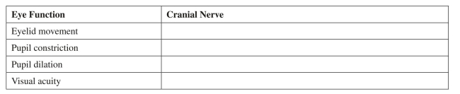 Identify the cranial nerves that are responsible for the following eye functions.  