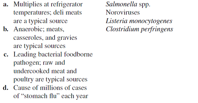 Match the pathogen with the correct phrase.  