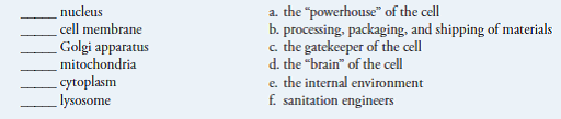 Match the following organelles with their function:   