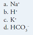 The ion responsible for causing acidic blood is: