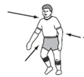 A rugby player is contacted simultaneously by three opponents who exert forces of the magnitudes and directions shown in the diagram at right. Using a graphic solution, show the magnitude and direction of the resultant force.   