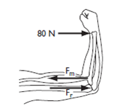A therapist applies a lateral force of 80 N to the forearm at a distance of 25 cm from the axis of rotation at the elbow. The biceps attaches to the radius at a 90° angle and at a distance of 3 cm from the elbow joint center. a. How much force is required of the biceps to stabilize the arm in this position? b. What is the magnitude of the reaction force exerted by the humerus on the ulna?